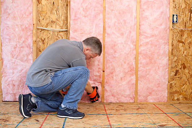 Reflective Insulation in Piney Mountain, VA